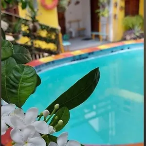 ** Hotel Porto Cajá Brasil